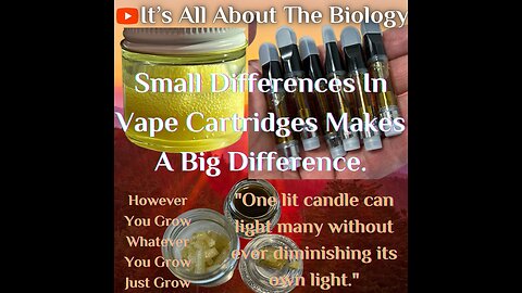 Small Differences In Vape Cartridges Makes A Big Difference.