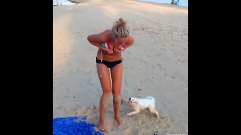 crazy dog #dog #pet #viral #funny
