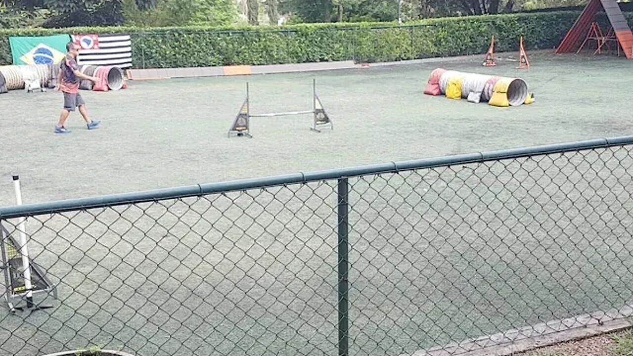 Campeonato Paulista agility No Espaço Dução Em Valinhos SP