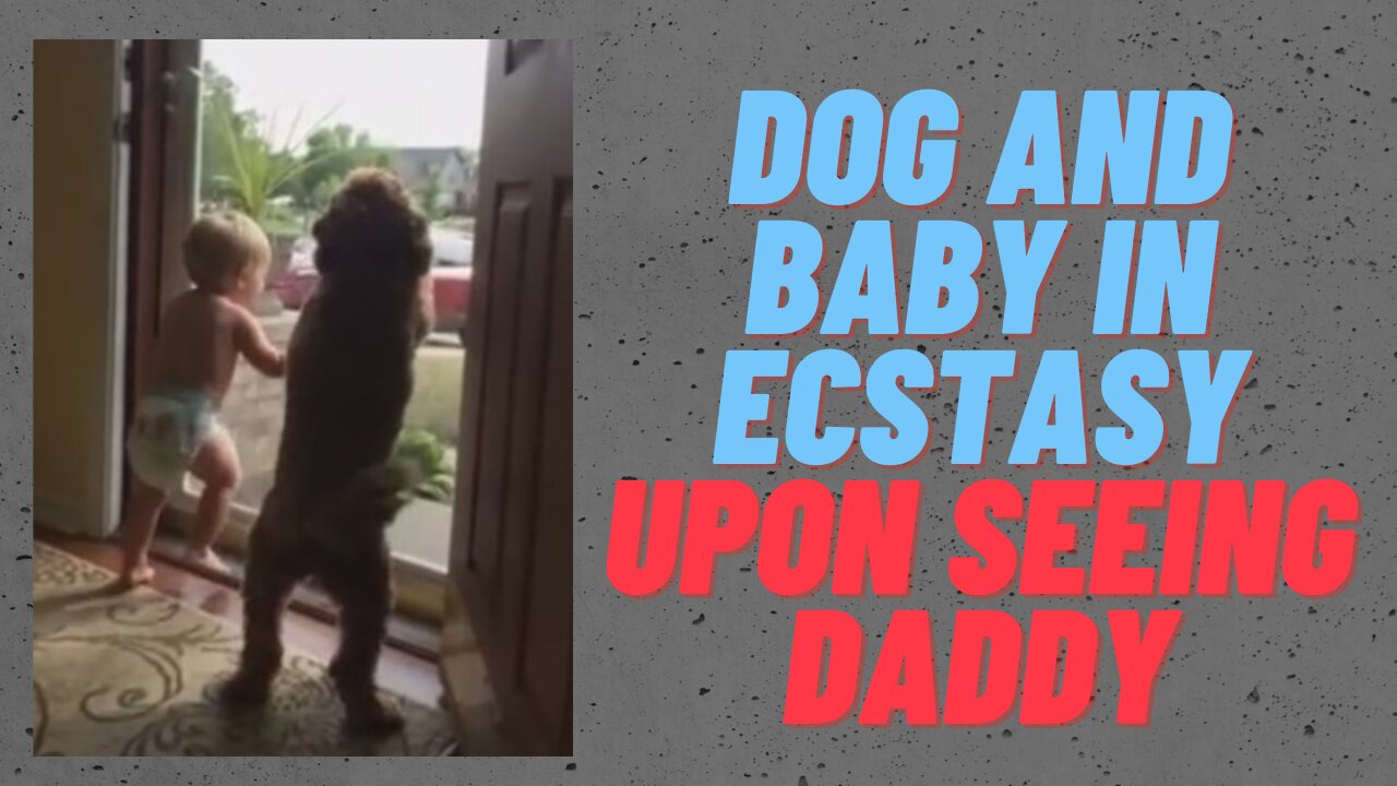 Puppy and Baby Waiting for their Daddy