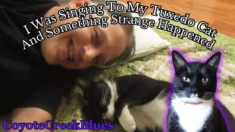 What happens when I sing to my cats (You Came To Me Demo)
