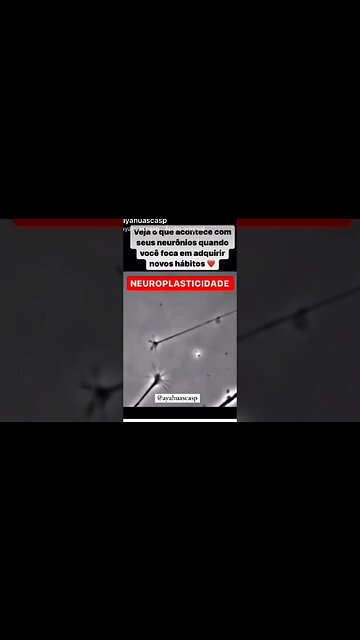 Expansão de consciência na prática ! É isso que acontece no cérebro 🧠!