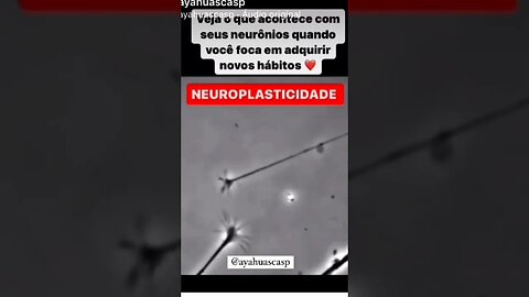 Expansão de consciência na prática ! É isso que acontece no cérebro 🧠!