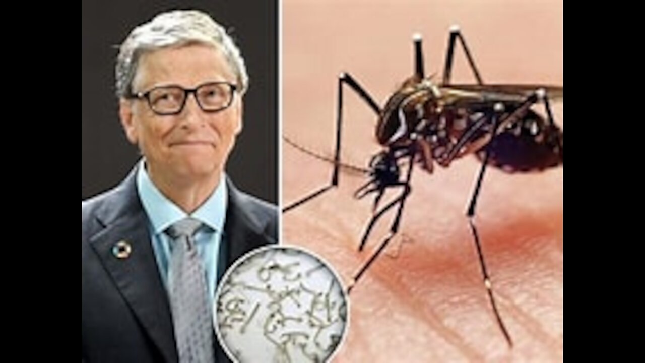 PREPAREM-SE PARA OS MOSQUITOS