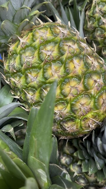 Pineapple Health Benefits
