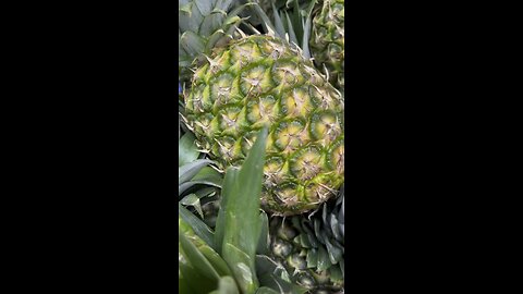Pineapple Health Benefits