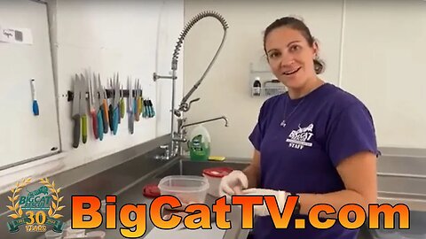 Evening meds with Carole and Afton at Big Cat Rescue! 04 04 2023