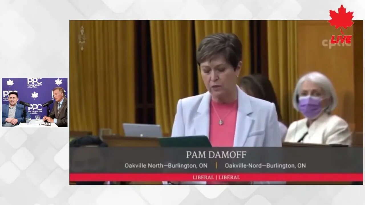 PAM DAMOFF - LIBERAL MP - CELEBRATING VULVAS AND VAGINAS !