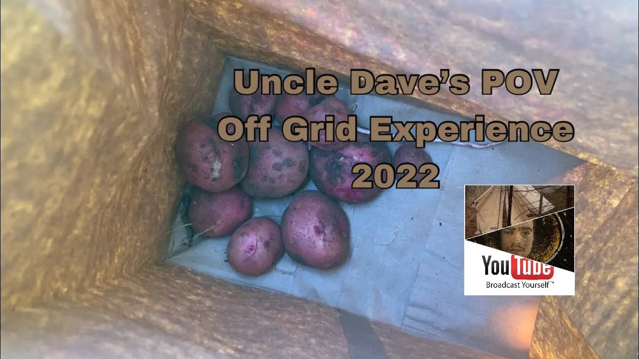 More new potatoes (2022)