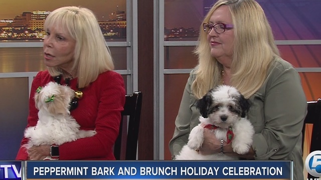 Peppermint Bark and Brunch Holiday Celebration