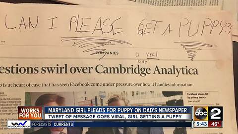 Little girl's plea for a puppy goes viral
