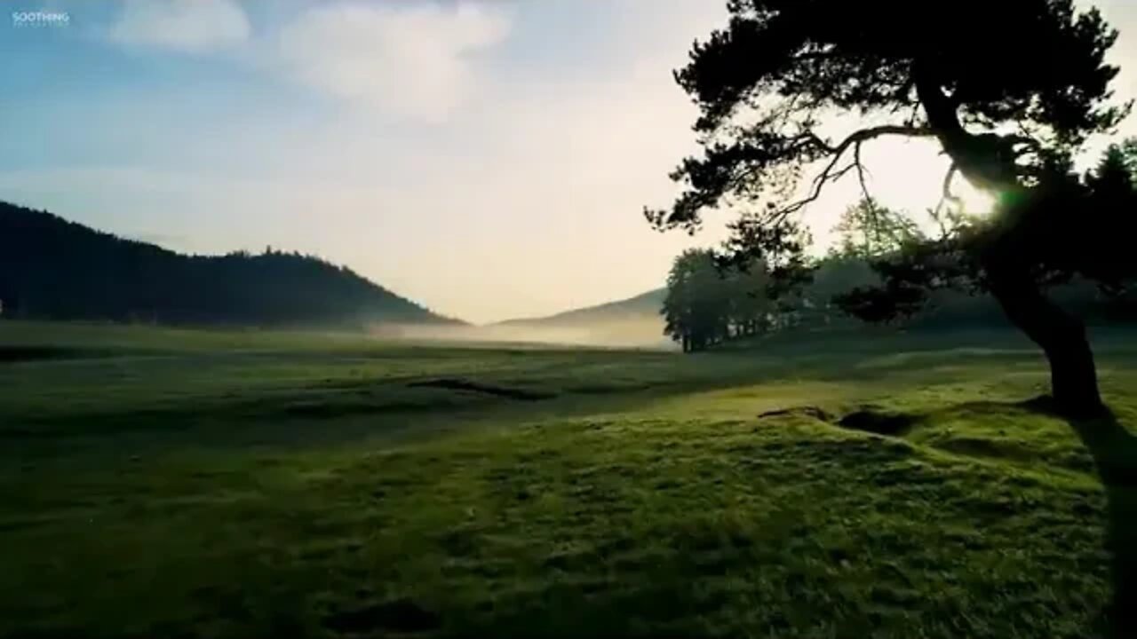 Beautiful # Relaxing # Music # • # Peaceful # Piano # Music # & # Guitar # Music # # Sunny # Mornin