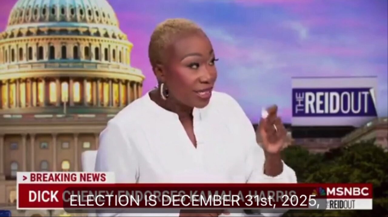 Joy Reid Names Multiple Corporate Leaders from the Epstein Client List