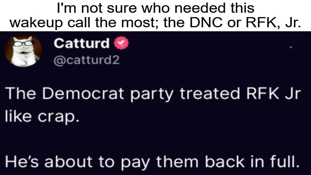 I'm not sure who needed this wakeup call the most; the DNC or RFK, Jr.