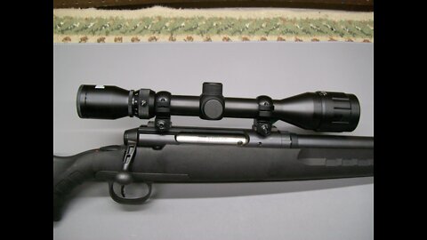 Savage Axis .223 100 Yard Sight In