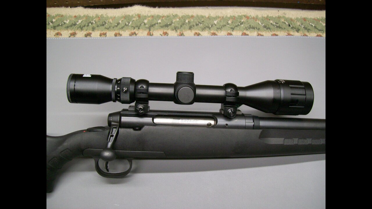 Savage Axis .223 100 Yard Sight In