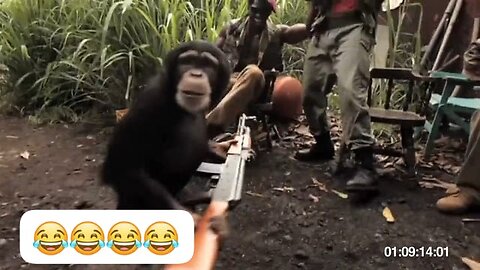 "Monkey Business: When the Tables Turn on Soldiers! 🐒🔫😂😂😂"