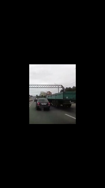 Stupid comes in all shapes #shorts