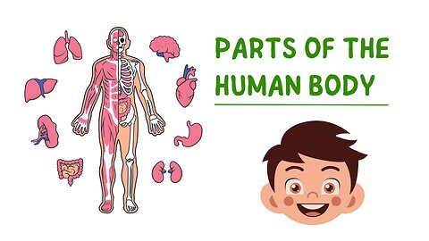 Explore the Human Body: Parts, Organs, and Facts | Parts of the Human Body | Anatomy for Kids