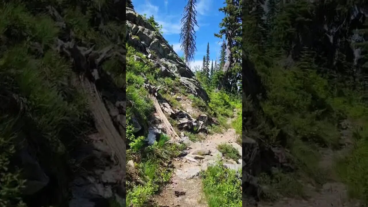 The breathtaking views of Moose Mountain in North ID | AOWS