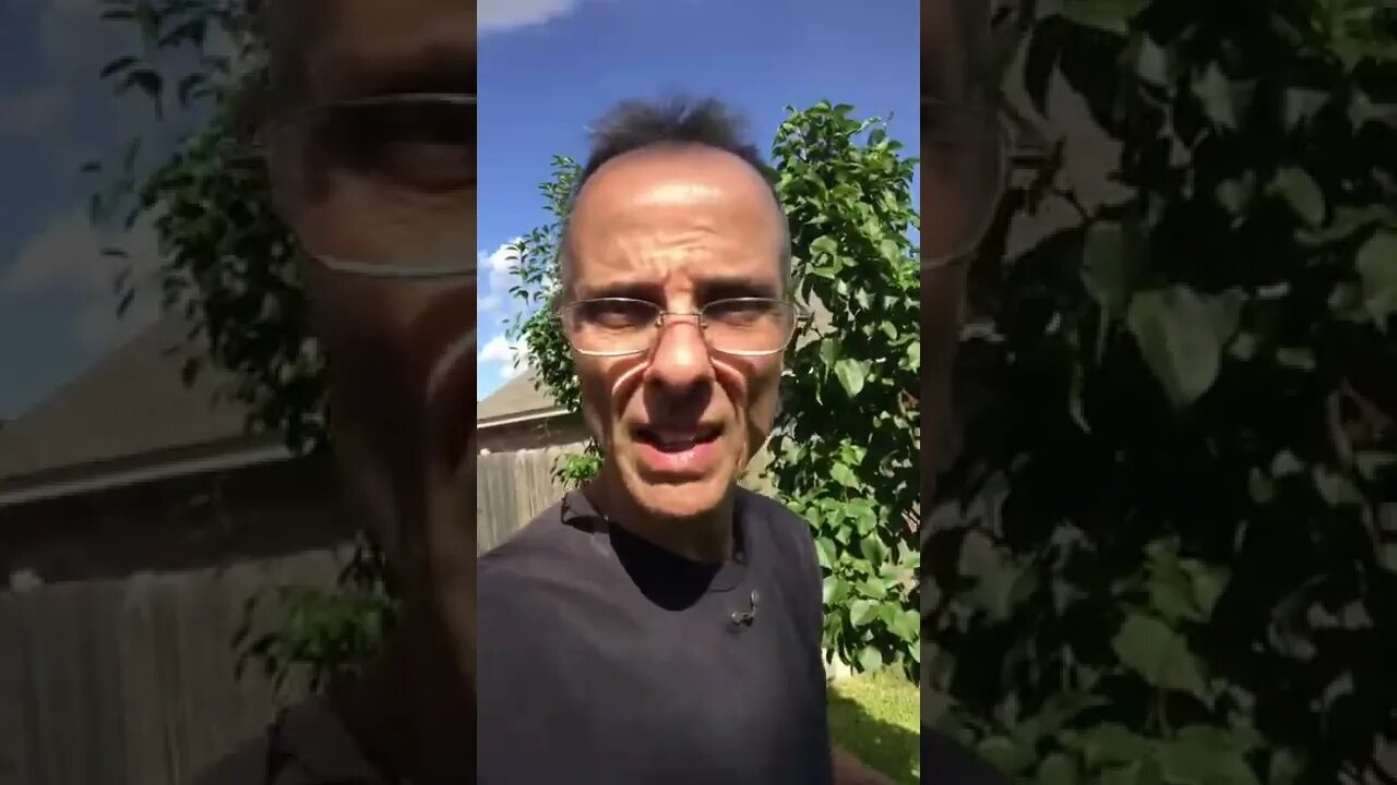 Where did the babies go?