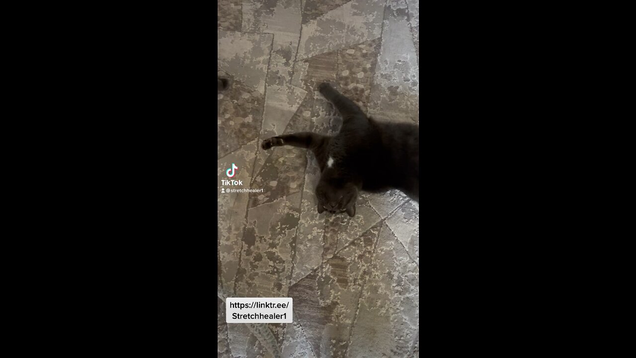 Stretch Class Has Begun 👏👏👏❤️