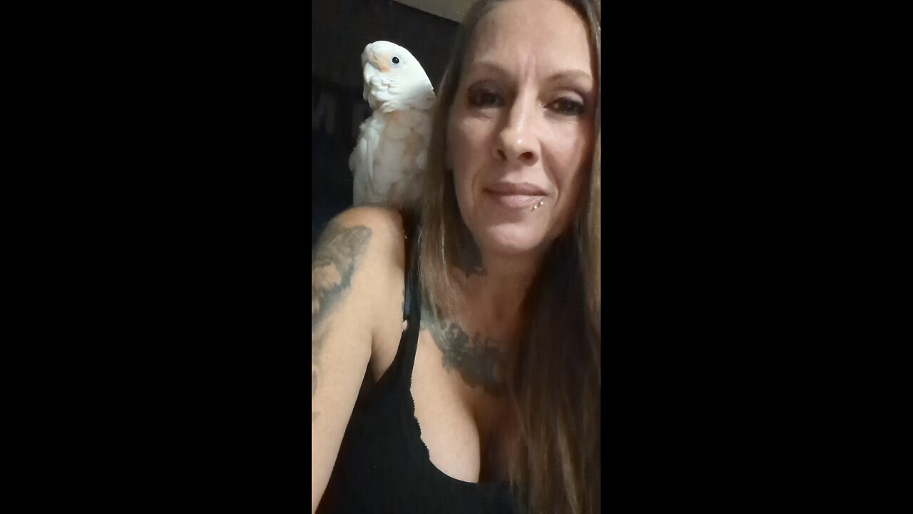 I Would Never Allow a Bird That Size Sit On My Shoulder