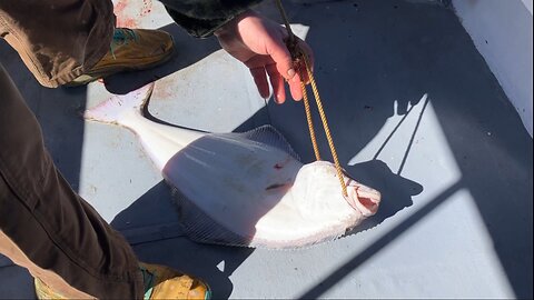 Paul Catching Halibut