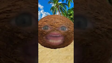 Coconut 🥥 shampoo 🌴 #jokes #dadjokes #oneliners #comedy #funny #fyp #foryoupage