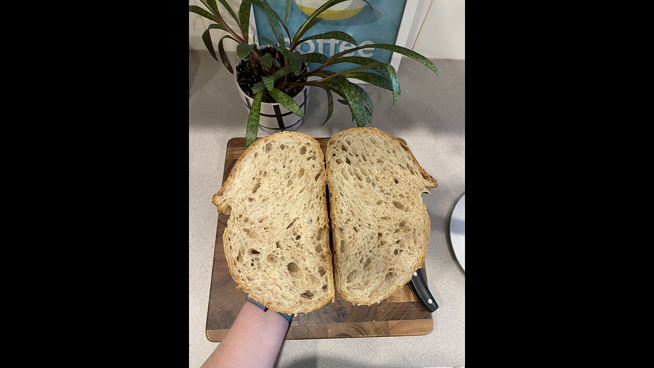 Italian Flour: The Secret to Amazing Sourdough