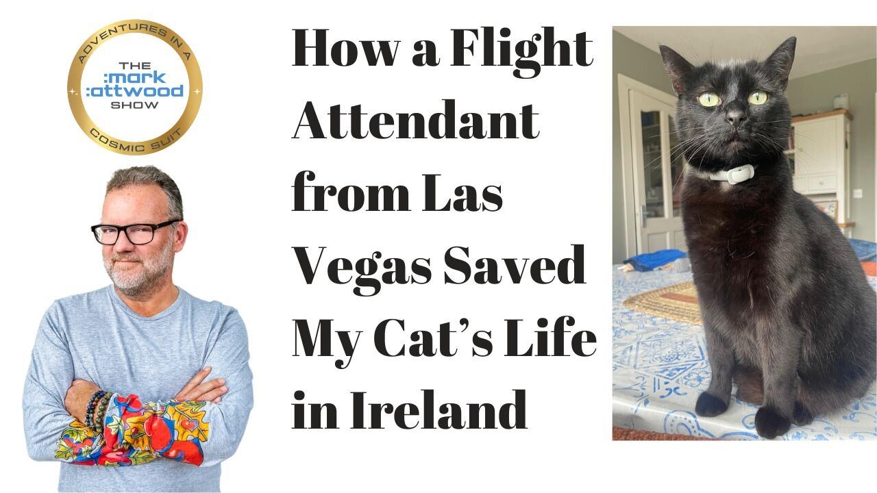 How a Flight Attendant from Las Vegas Saved My Cat’s Life in Ireland - 17th Oct 2024