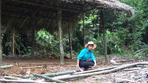 Build bamboo huts, build farms in the forest -5