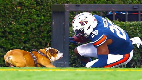 Weirdest Penalties In College Football History...