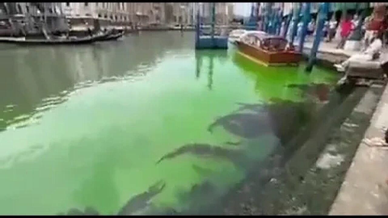 AS ÁGUAS VERDES EM VENEZA - 2023