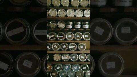 The Tunnell Take, Time to Shine