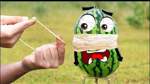 Funny Tips to Cut a Watermelon like a Pro | New Funny Videos 2021 |