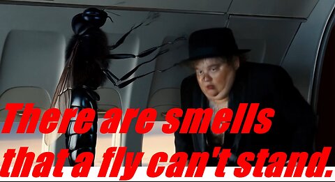 There are smells that a fly can't stand.