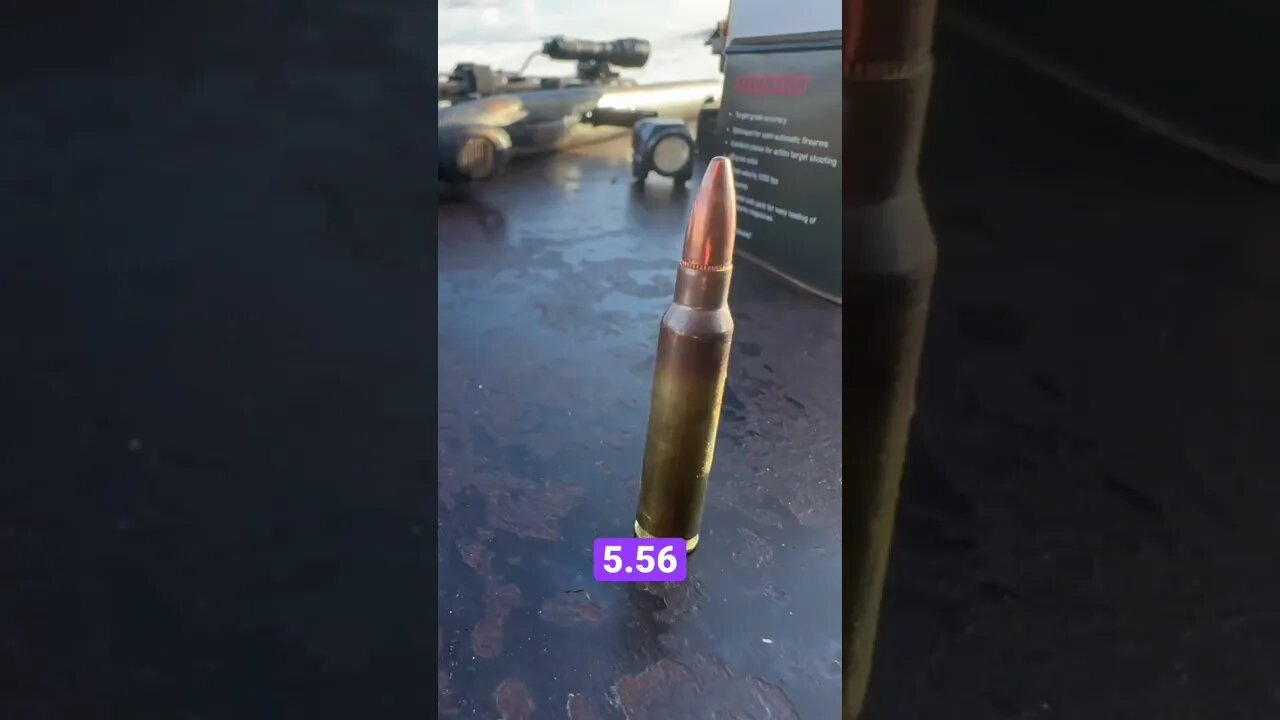 😱 30.06 vs 5.56 #guns #AR #behindthescenes #fun #hunting