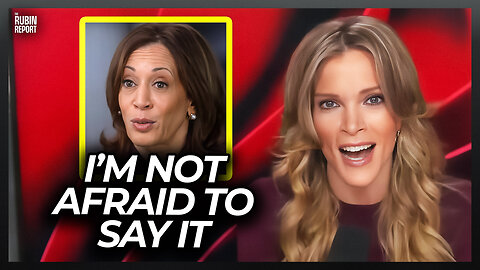 Megyn Kelly Notices Something About Kamala’s Media Blitz No One Noticed