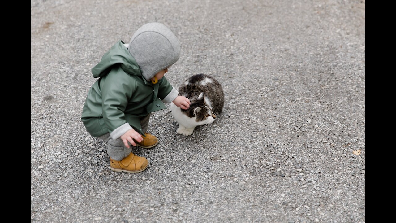 Baby and cat touch each other for the first time