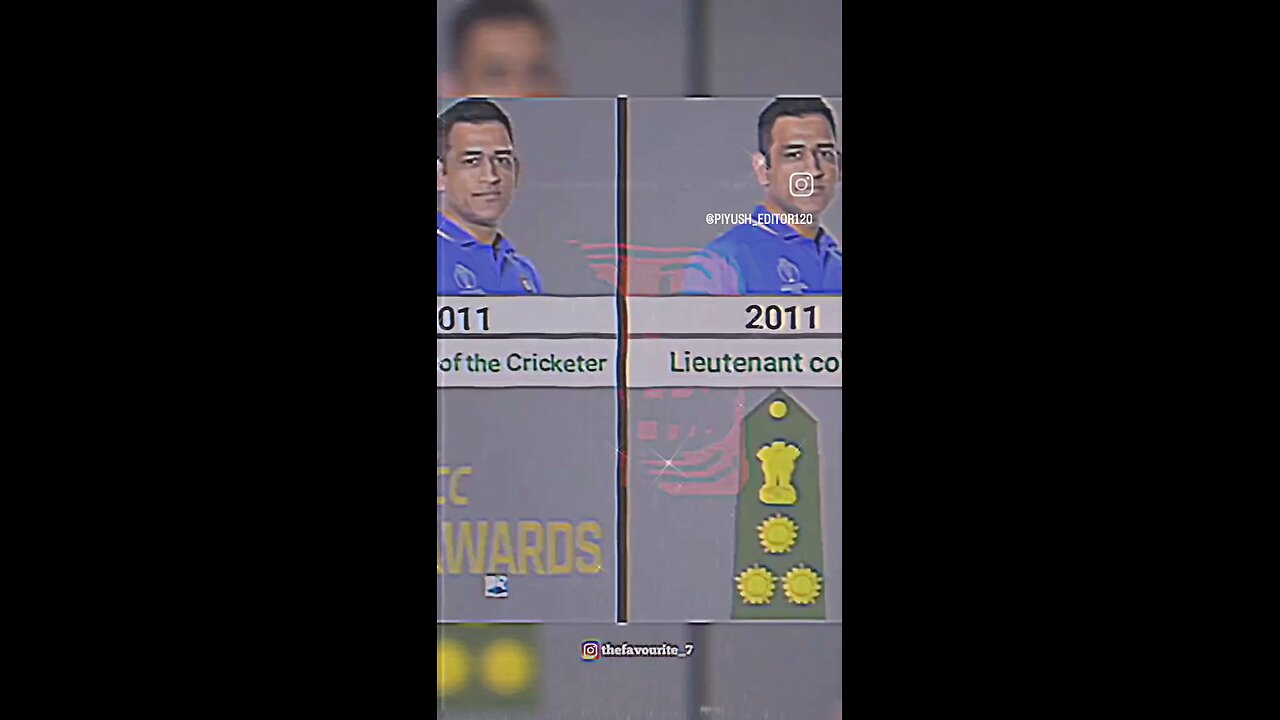 MSD AWARD