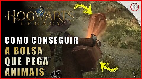 Hogwarts Legacy, Como conseguir a bolsa que pega animais | Super-Dica