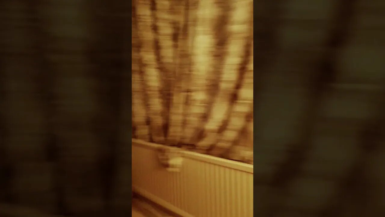 #veiws_viral_video_subscribers_grow #clip finally got back to sleep 😴 and is about to start my day