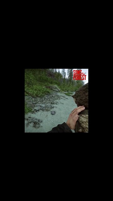 Sons of the Forest (Сыны Леса) 🌲🌳 #theforest #sonsoftheforest #forest #yosquad Part 0026