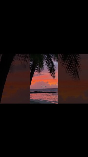 Remote Work: Breaking Barriers and Bridging Gaps l WFH UNIVERSITY