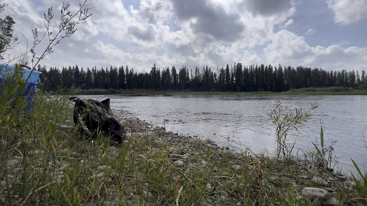 Gold sluice on Red Deer River