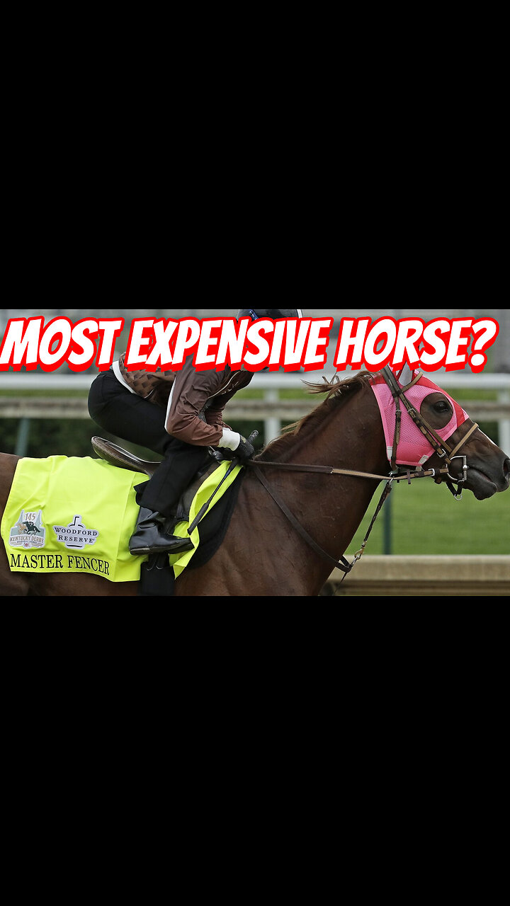 How Expensive Are Kentucky Derby Bred Horse To Own!