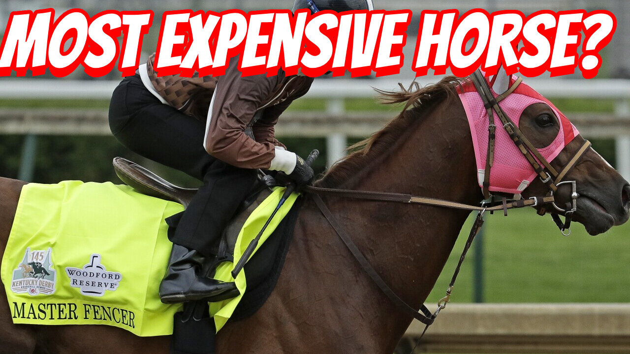 How Expensive Are Kentucky Derby Bred Horse To Own!