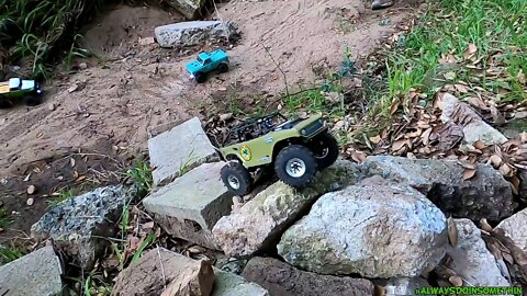RC 1:24 scale