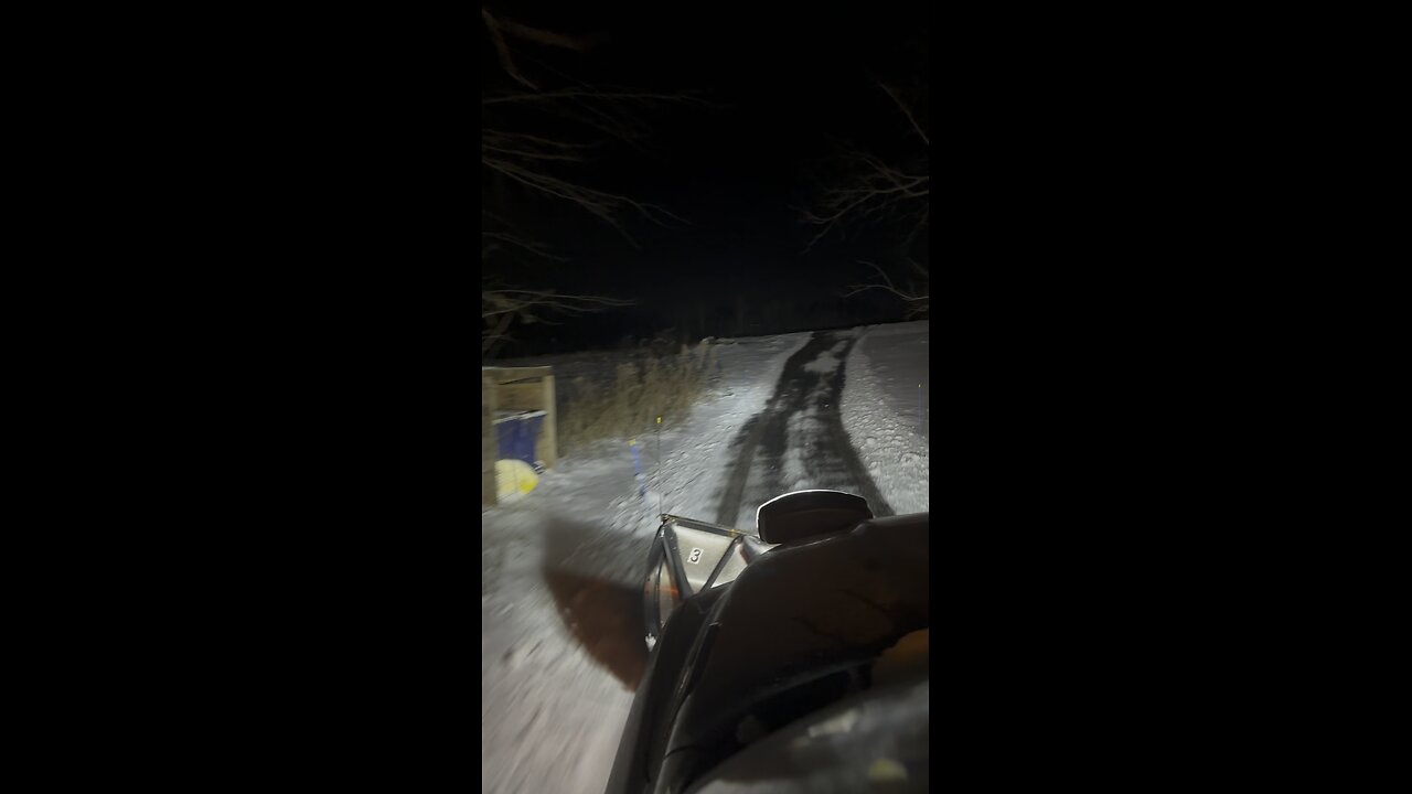 What a $1500 driveway looks like